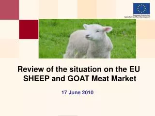 Review of the situation on the EU SHEEP and GOAT Meat Market