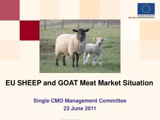 EU SHEEP and GOAT Meat Market Situation