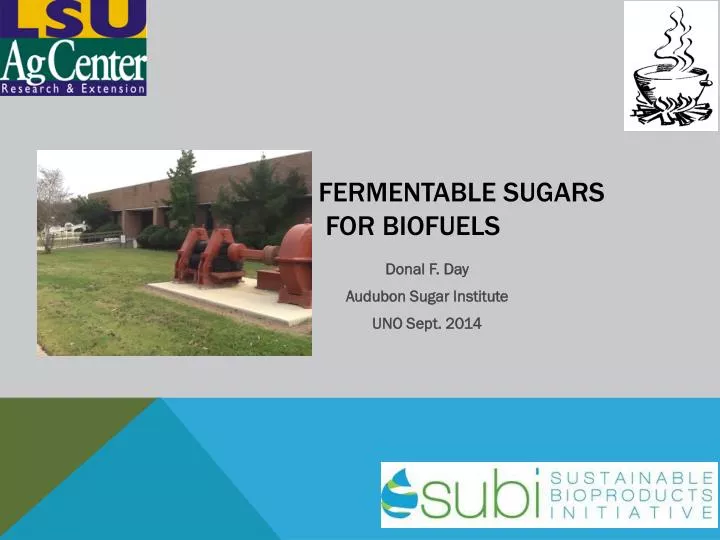 fermentable sugars for biofuels