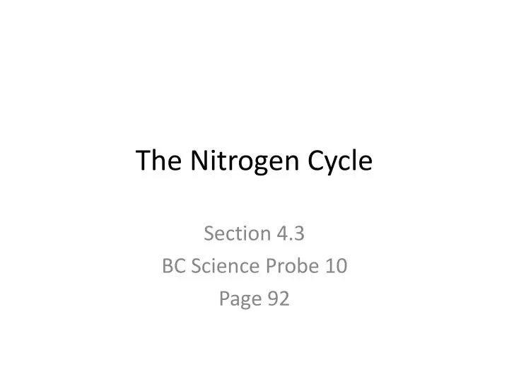 the nitrogen cycle