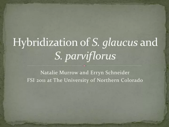 hybridization of s glaucus and s parviflorus