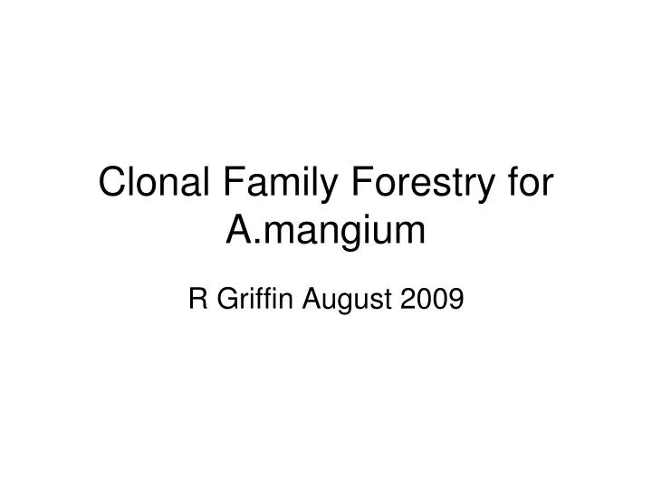 clonal family forestry for a mangium