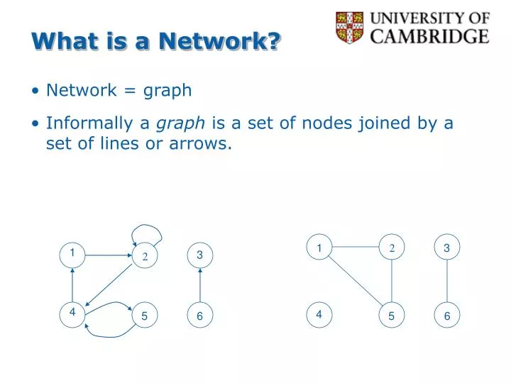 what is a network