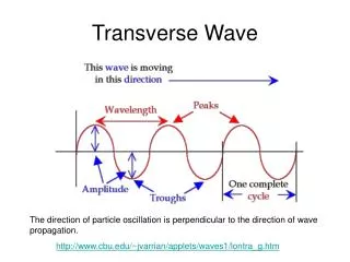 Transverse Wave