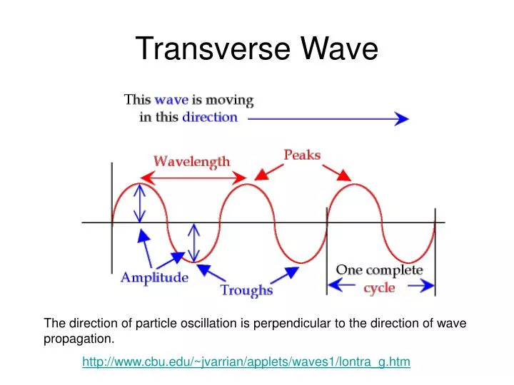 transverse wave