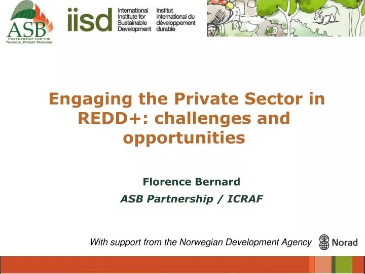 engaging the private sector in redd challenges and opportunities