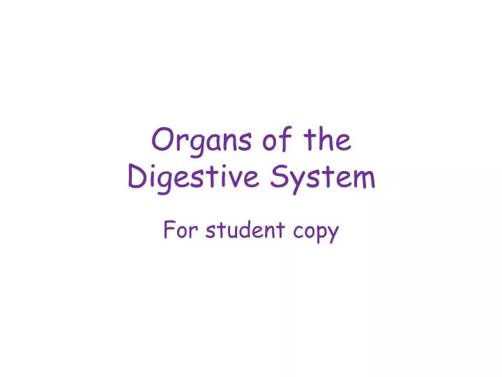 organs of the digestive system