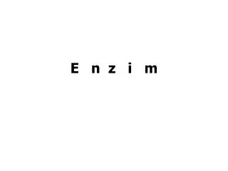 e n z i m