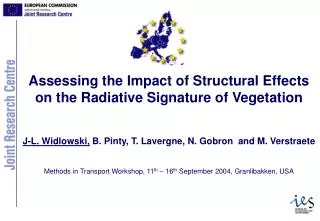 Assessing the Impact of Structural Effects on the Radiative Signature of Vegetation