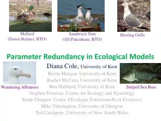 Parameter Redundancy in Ecological Models