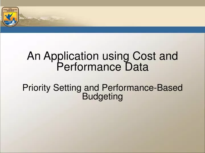 an application using cost and performance data priority setting and performance based budgeting
