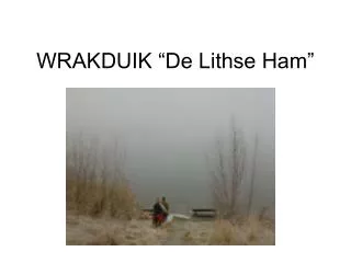 wrakduik de lithse ham
