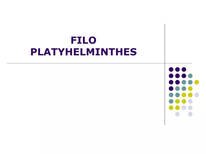 filo platyhelminthes