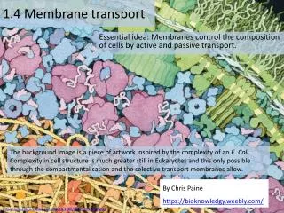 1.4 Membrane transport