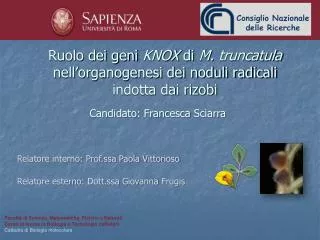 ruolo dei geni knox di m truncatula nell organogenesi dei noduli radicali indotta dai rizobi