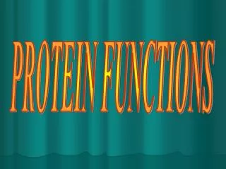 PROTEIN FUNCTIONS