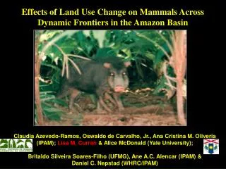 Effects of Land Use Change on Mammals Across Dynamic Frontiers in the Amazon Basin