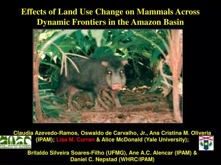 effects of land use change on mammals across dynamic frontiers in the amazon basin