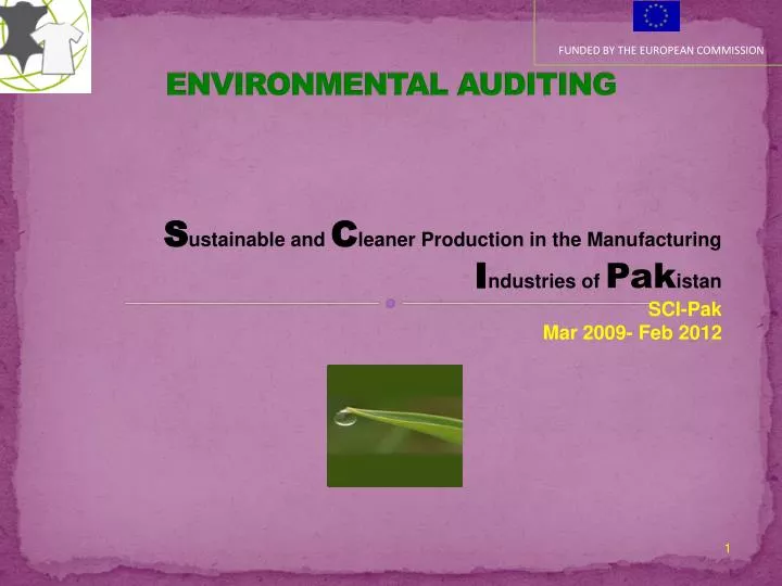 environmental auditing