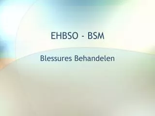 ehbso bsm
