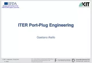 ITER Port-Plug Engineering