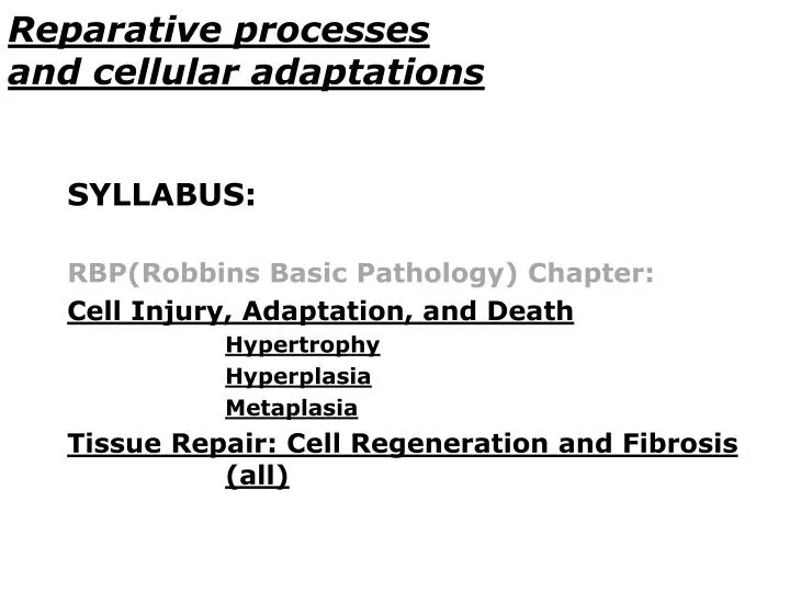 reparative processes and cellular adaptations