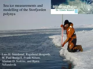 Sea ice measurements and modelling of the Storfjorden polynya