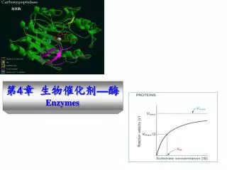 4 enzymes