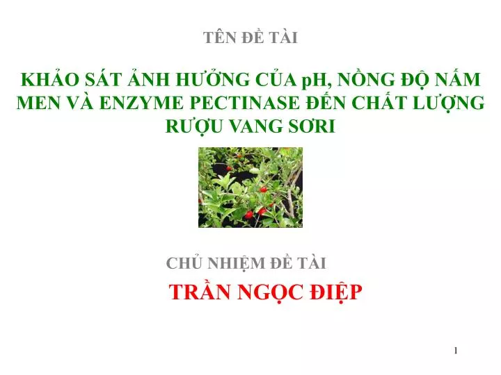 PPT - CHỦ NHIỆM ĐỀ TÀI TRẦN NGỌC ĐIỆP PowerPoint Presentation - ID:6076776