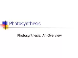 Photosynthesis