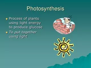 Photosynthesis