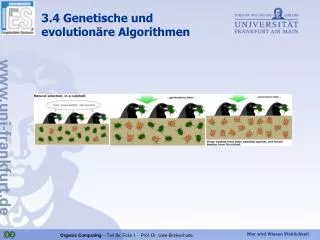 3 4 genetische und evolution re algorithmen