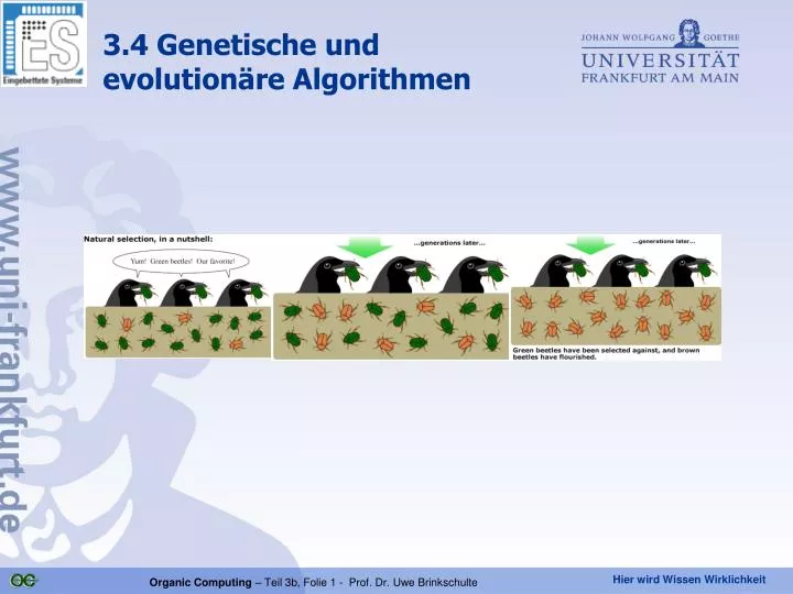 3 4 genetische und evolution re algorithmen
