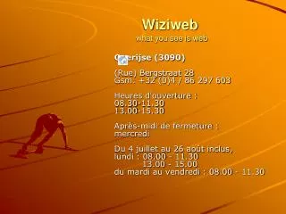 wiziweb what you see is web