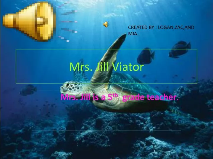 mrs jill viator