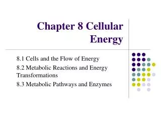 Chapter 8 Cellular Energy