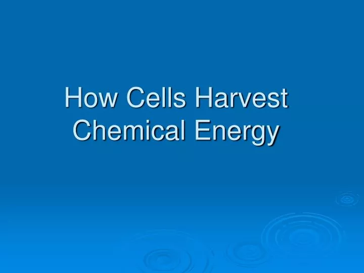 how cells harvest chemical energy