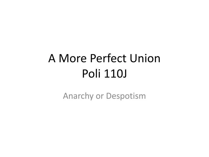 a more perfect union poli 110j