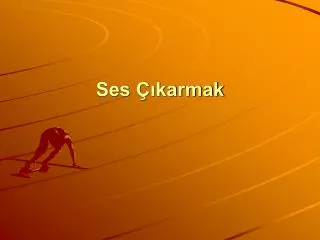 ses karmak