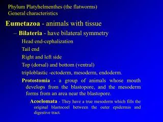 Phylum Platyhelmenthes (the flatworms) General characteristics