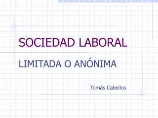 PPT - SOCIEDAD ANONIMA PowerPoint Presentation, Free Download - ID:4699044