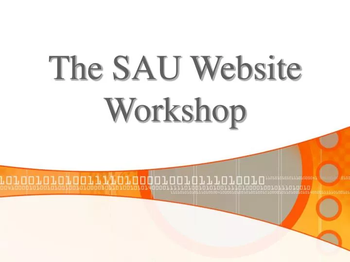 the sau website workshop