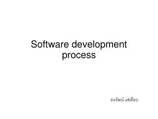 Software development process