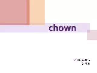2004242066