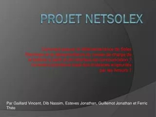 projet netsolex