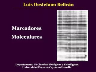 marcadores moleculares
