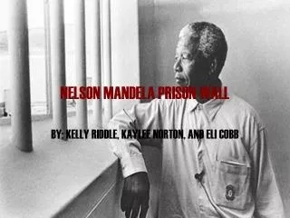NELSON MANDELA PRISON WALL