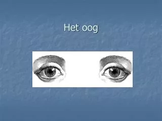 het oog
