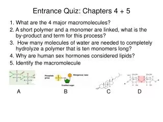 Entrance Quiz: Chapters 4 + 5