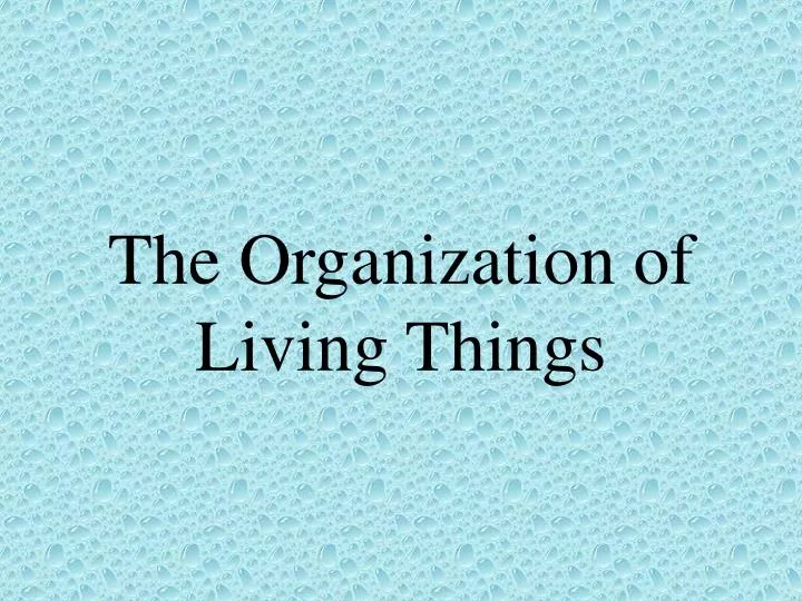 the organization of living things